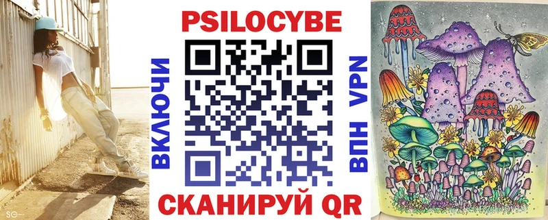 наркотики  Зеленоградск  Псилоцибиновые грибы ЛСД 